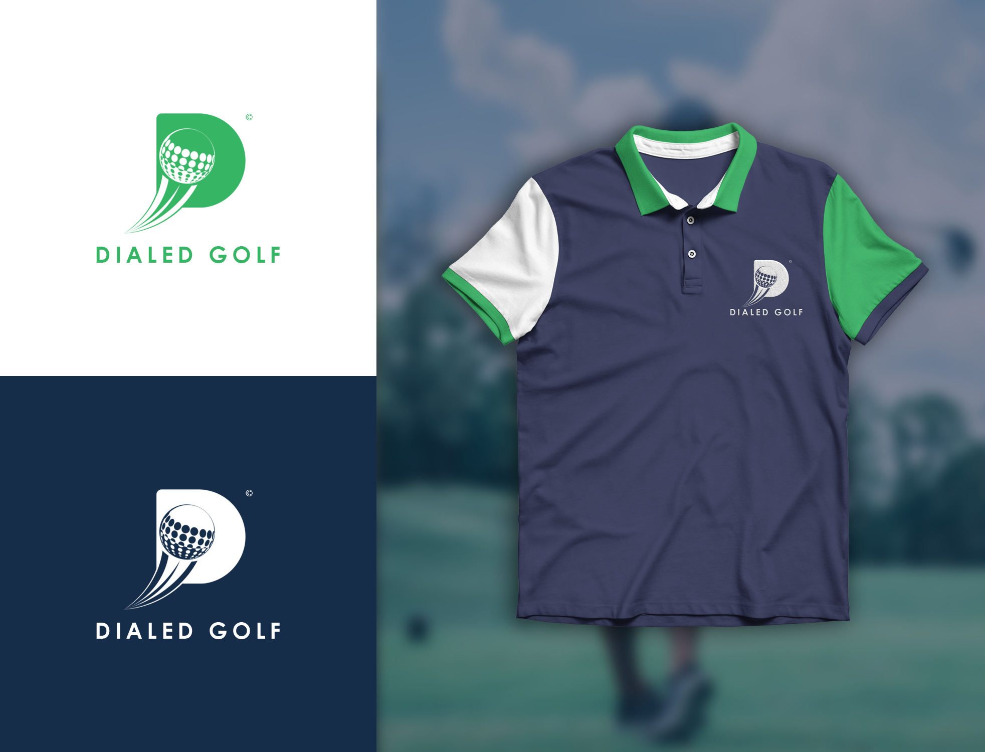Logo Design by Mohamed Amer for this project | Design #26284130