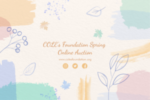 Non-profit needs fresh graphics for online fundraiser. | Diseño Gráfico por Cynor Designs