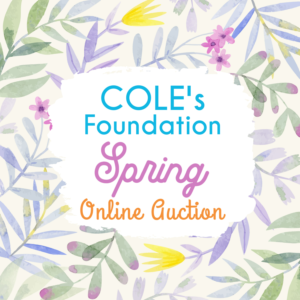 Non-profit needs fresh graphics for online fundraiser. | Grafik-Design von lnb...