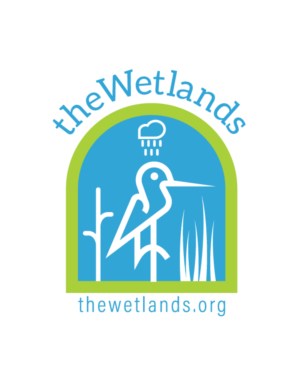 Logo Design by electrik | brand solutions