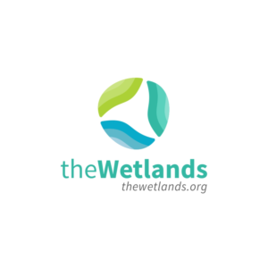 Logo Design by Iustin