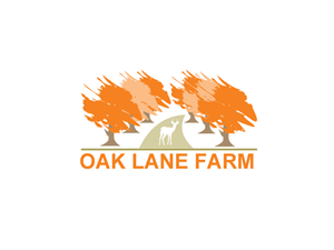 Diseño de Logo por neboica para este proyecto | Diseño: #733683