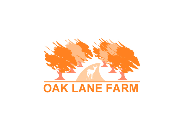 Diseño de Logo por neboica para este proyecto | Diseño #733690