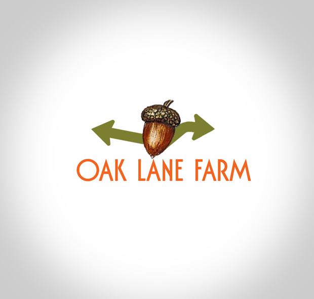 Diseño de Logo por aq3 para este proyecto | Diseño #733689