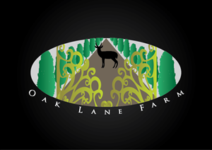 Logo Design by Ryan Orlowski