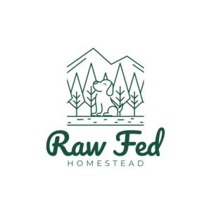 Logo Design by RAVA_visuals