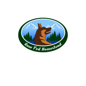 Logo Design by borzoid for this project | Design: #26315364
