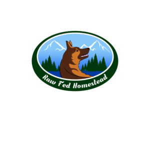 Logo Design by borzoid for this project | Design: #26348361