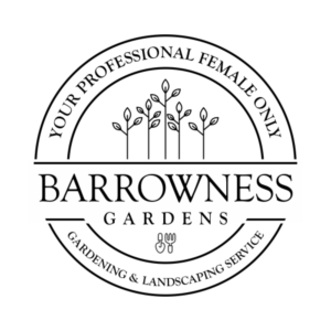 Logo Design by sarinop