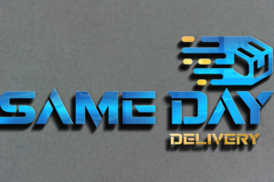 Logo-Design von AnnaZeesat für Same day delivery | Design: #26291886