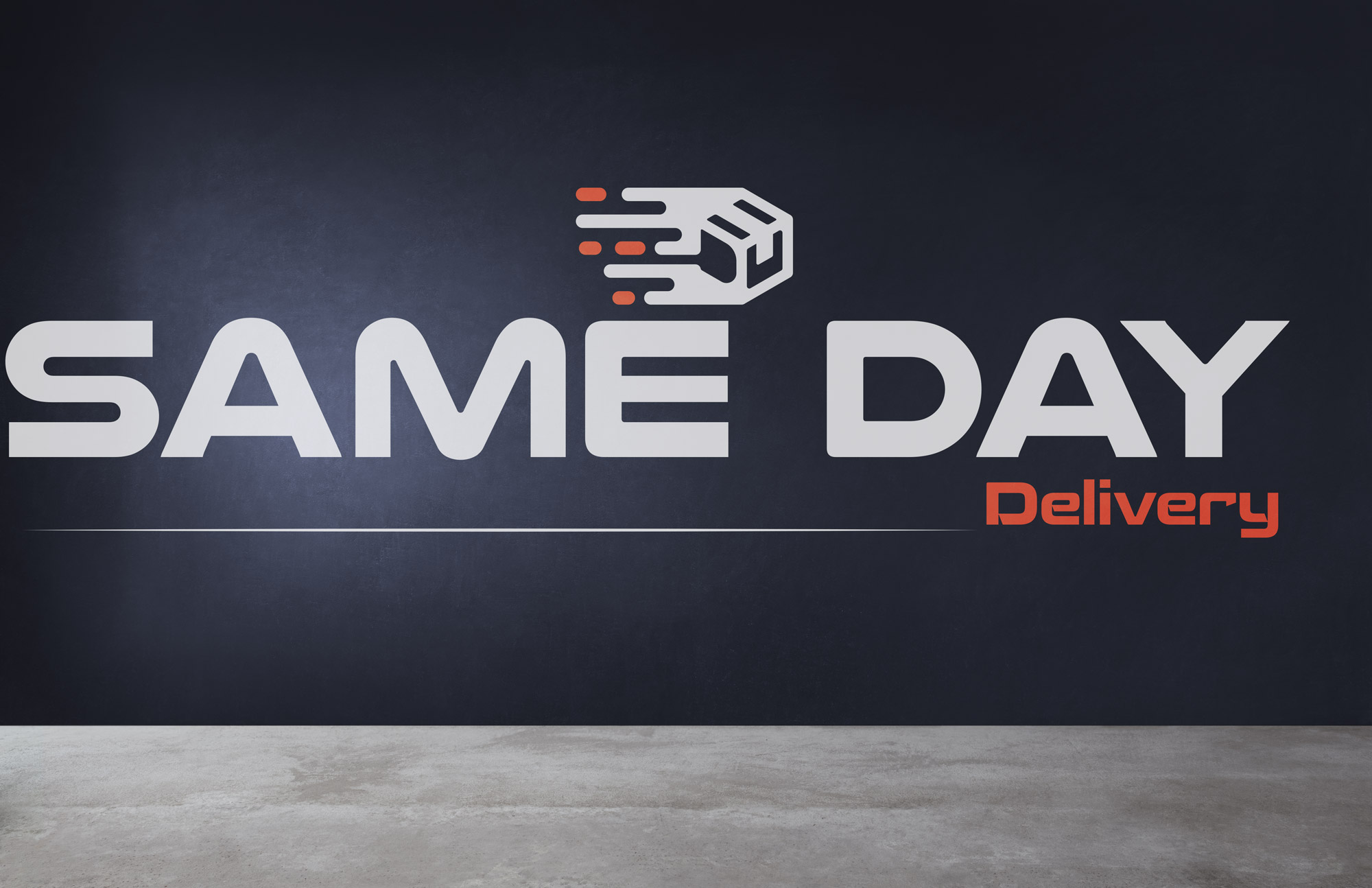 Design de Logo par AnnaZeesat pour Same day delivery | Design #26301045