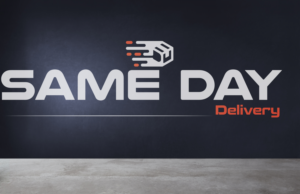 Design de Logo par AnnaZeesat pour Same day delivery | Design : #26301045