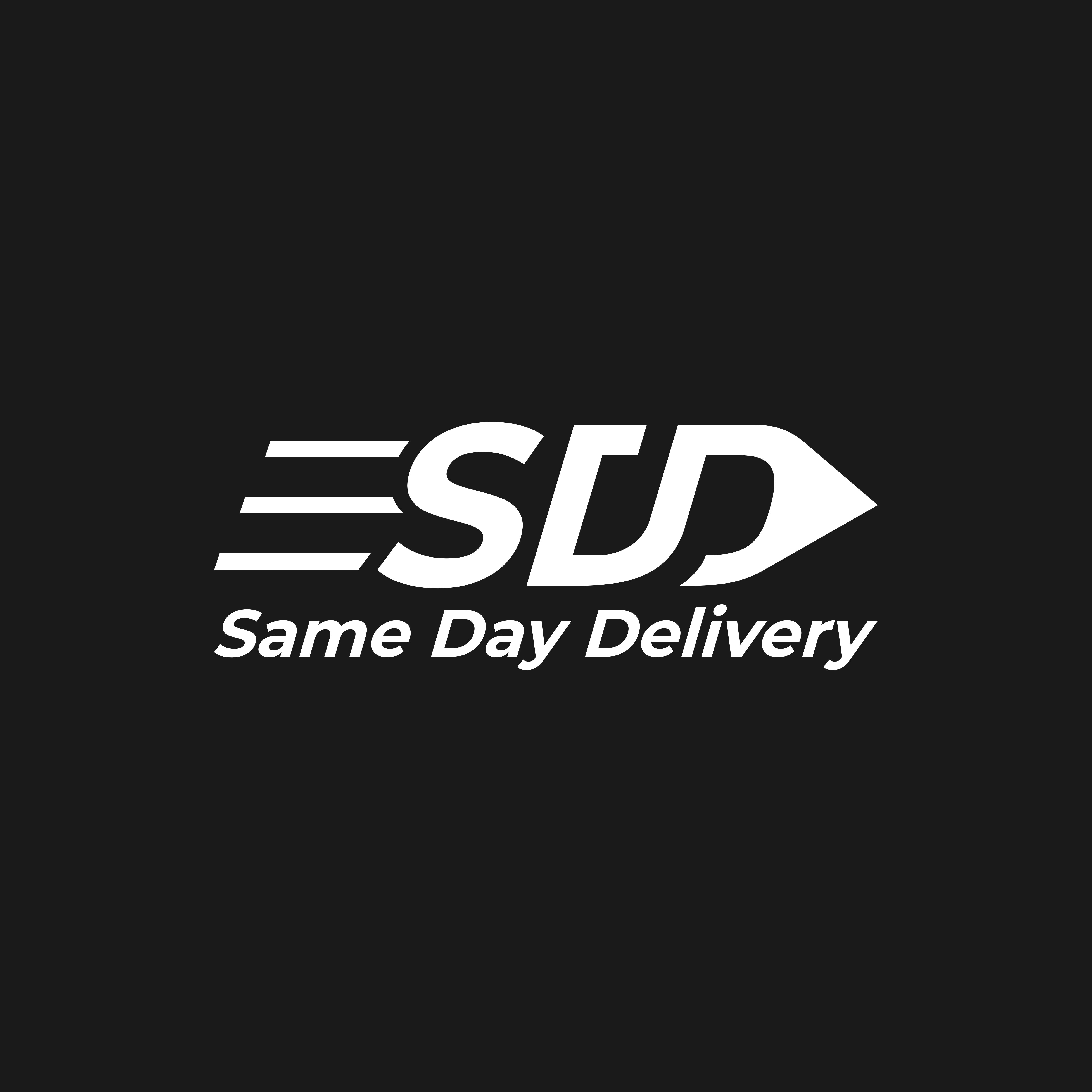 Logo Design by ecko_85 for Same day delivery | Design #26285907