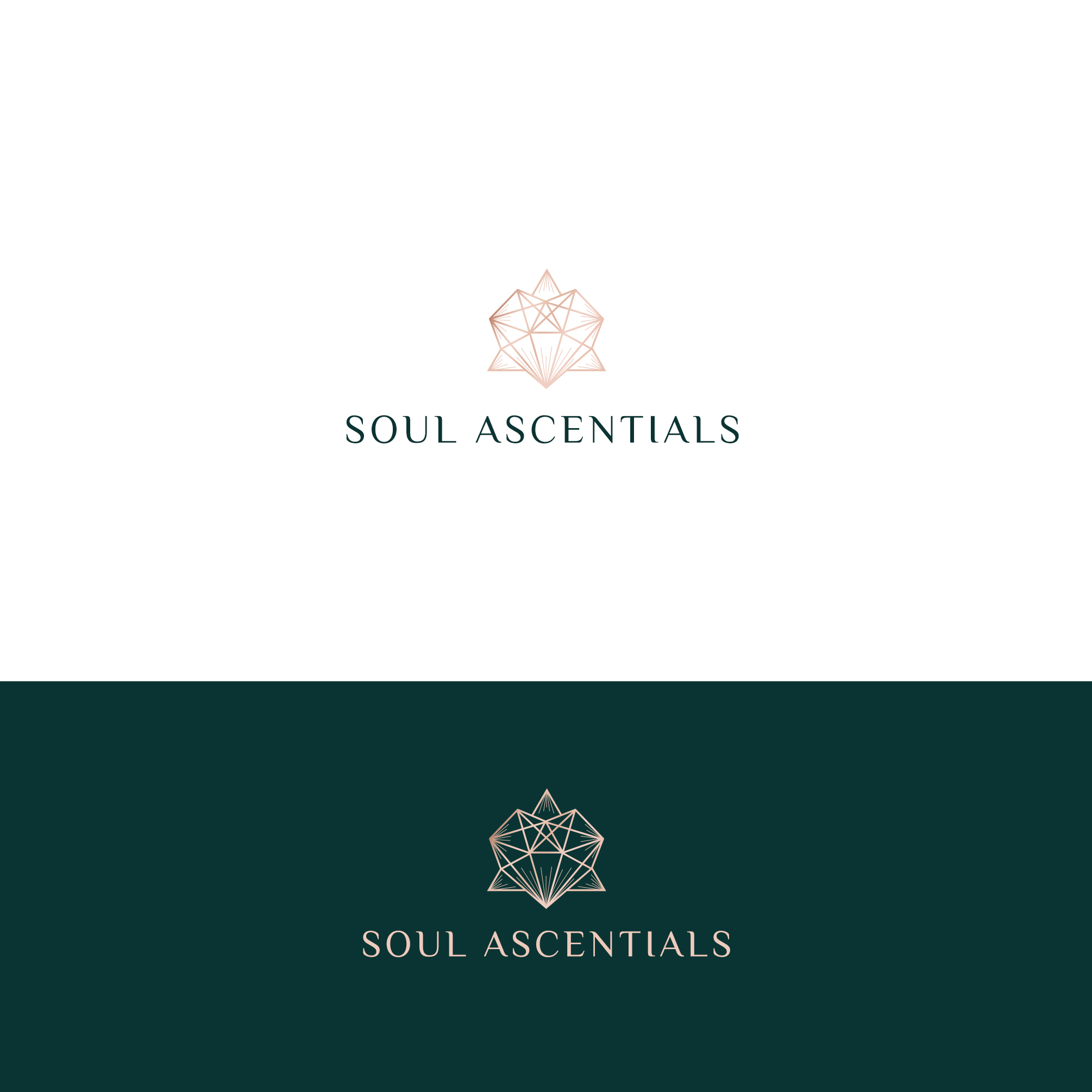 Logo Design by Art of Joy for this project | Design #26350396