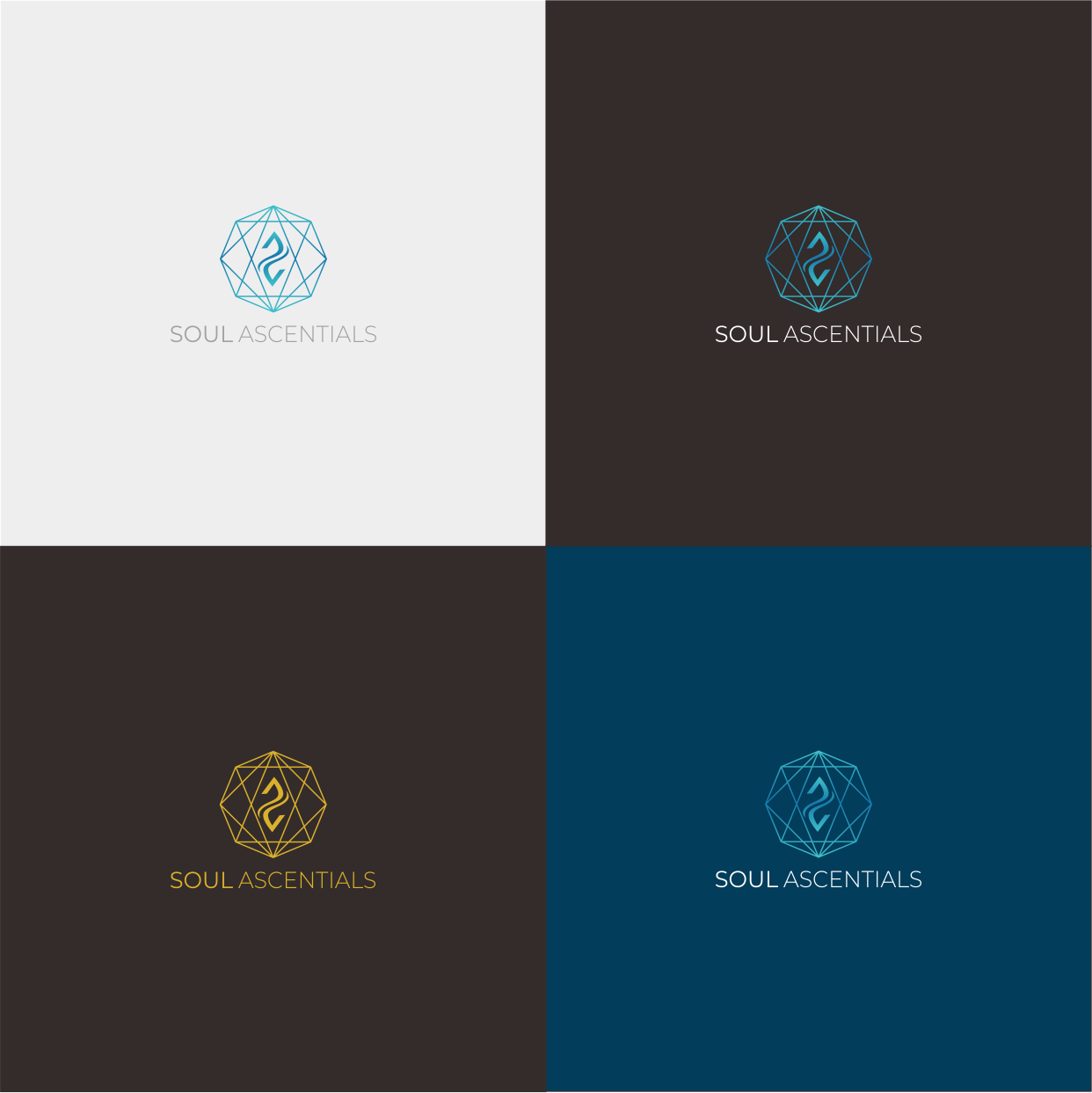 Logo Design by surf sta for this project | Design #26644870
