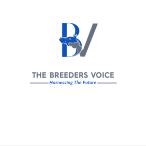 The Breeders Voice    (tagline) Harnessing The Future | Logo Design by borzoid