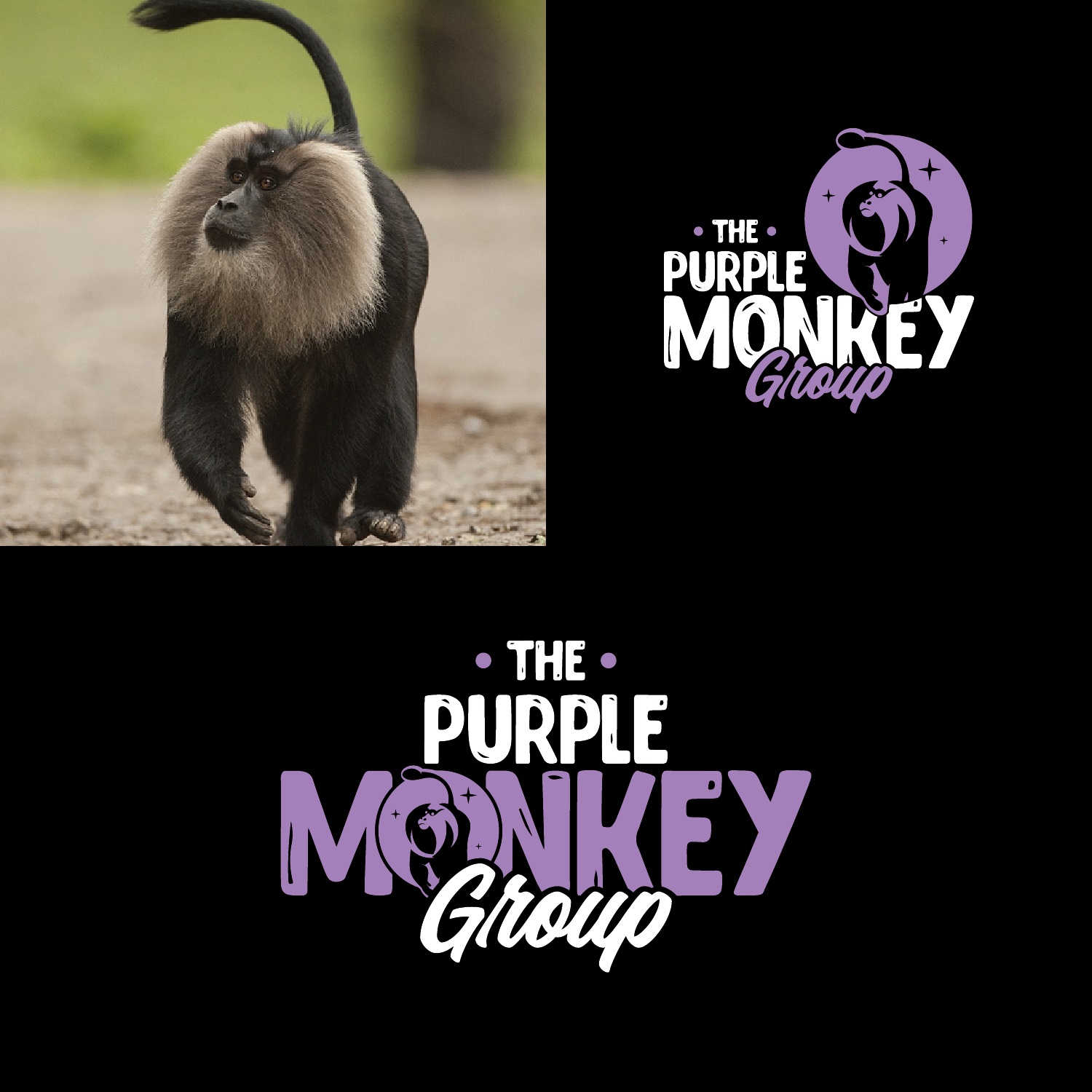 Logo Design by eliartdesigns for this project | Design #26304646