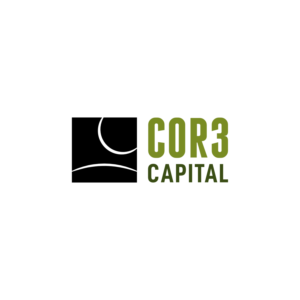 Logo Design by EspadaDesign for Delta Rhino Capital | Design #26311215
