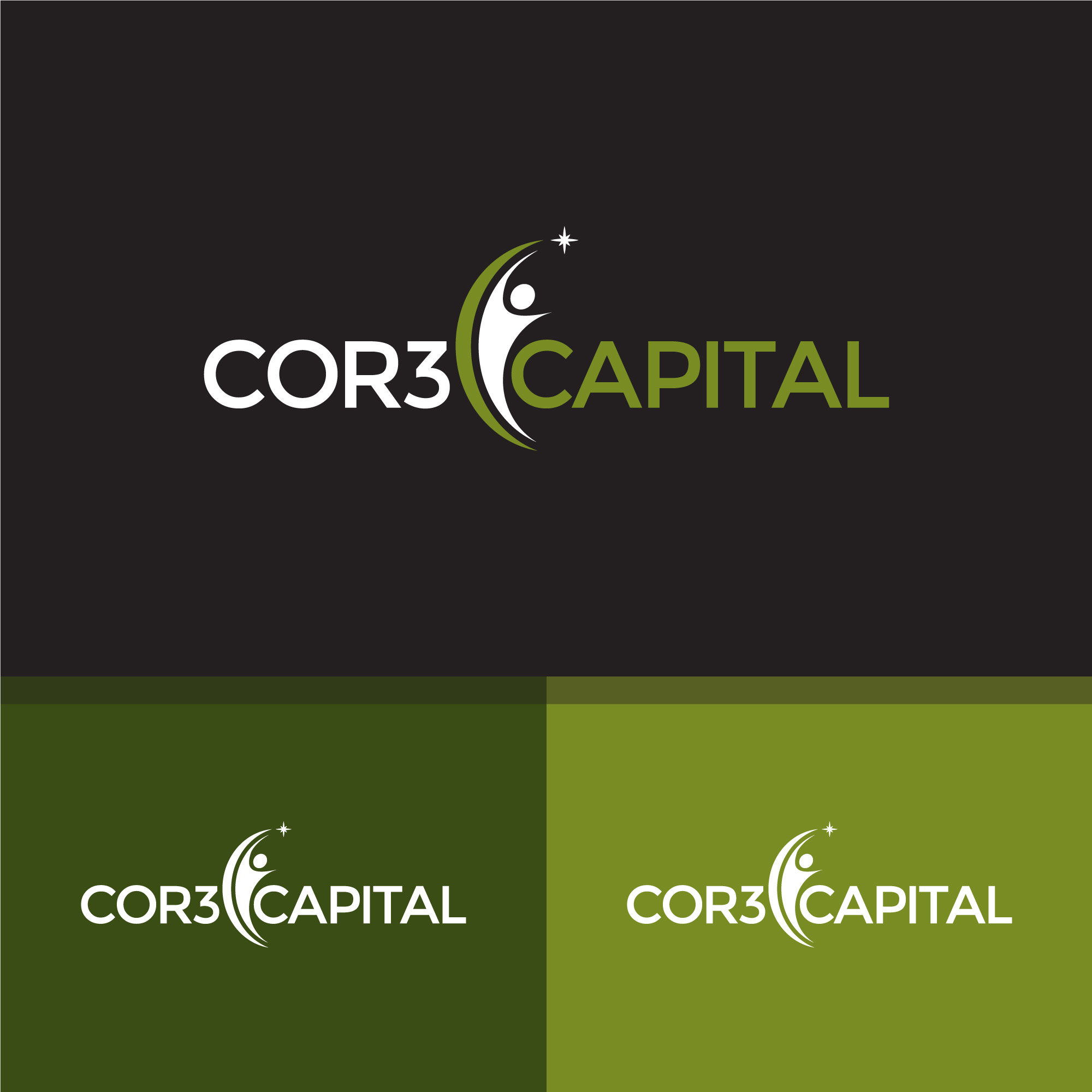 Diseño de Logo por AinebAyoub para Delta Rhino Capital | Diseño #26312462