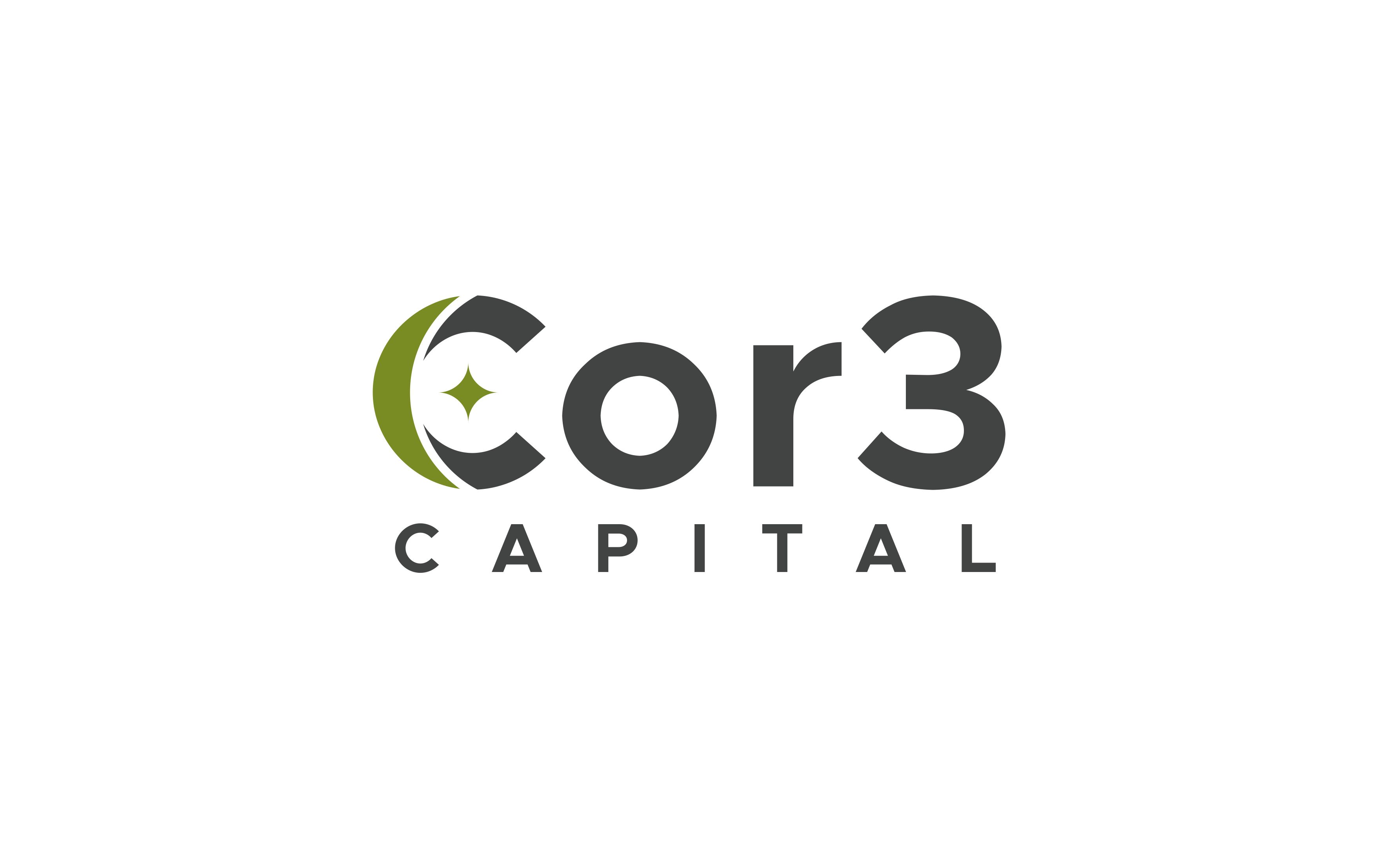 Logo Design by RAN MEI JS for Delta Rhino Capital | Design #26321109