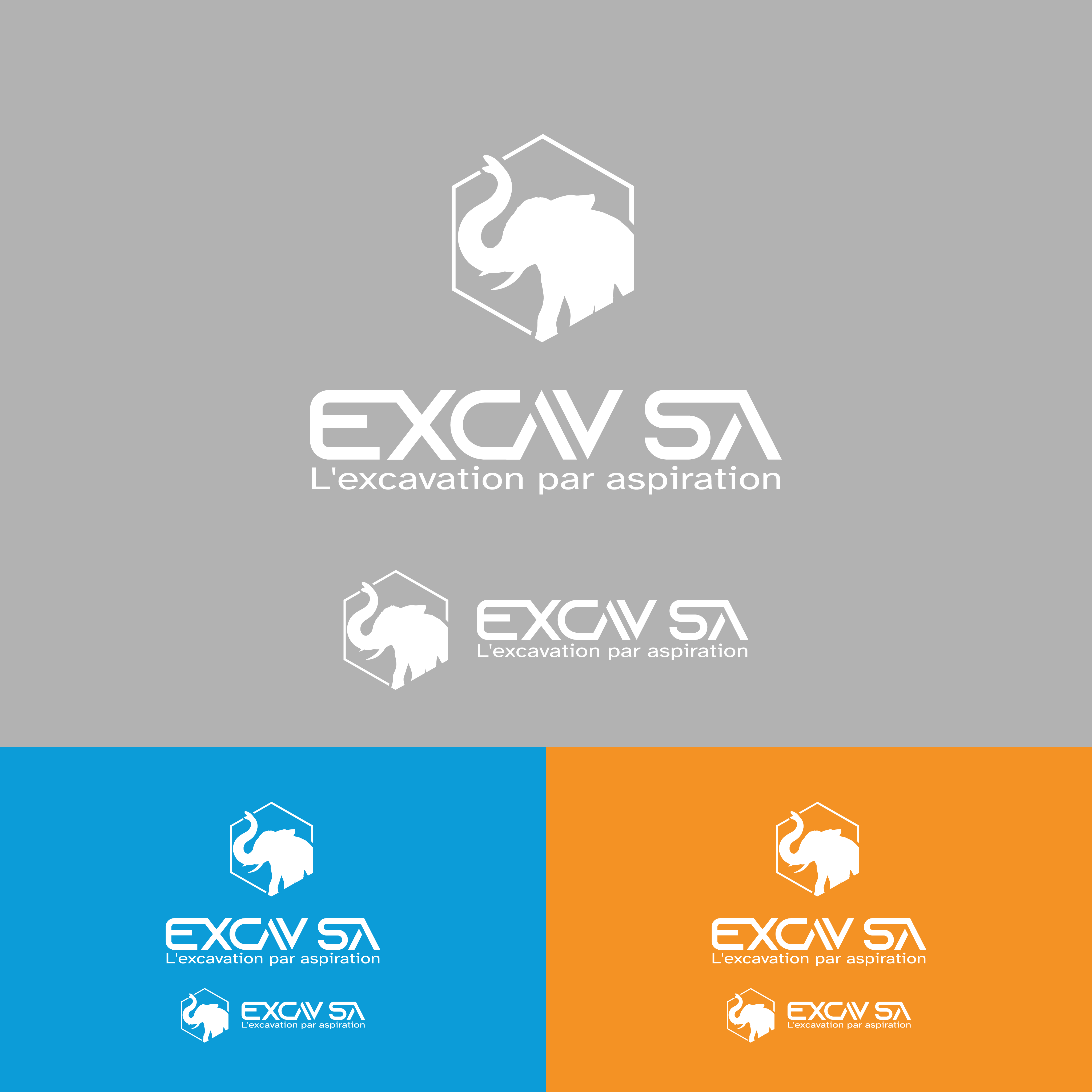 Logo Design by MBM Design for this project | Design #26405195