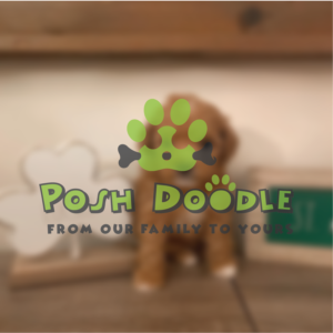 Design de Logo par Walker Designer 2 pour Posh Doodle | Design #26337669