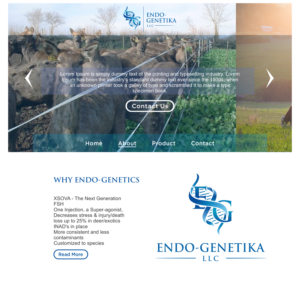 Logo Design by Hendco for this project | Design: #26319003