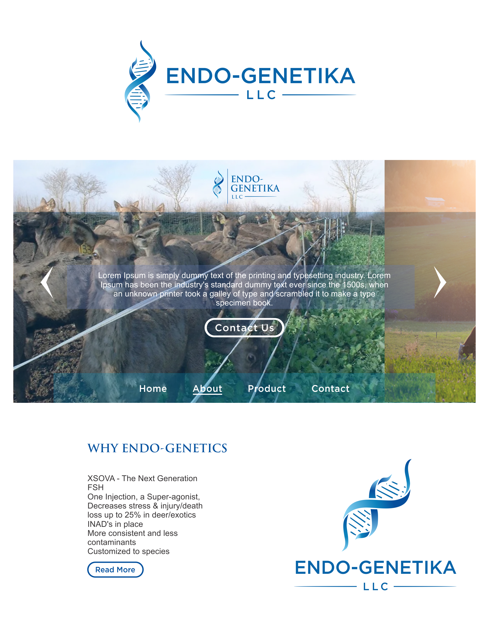 Logo Design by Hendco for this project | Design #26321840