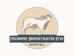 Logo Design by Fold Design