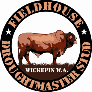 Logo Design by Doug Bliss