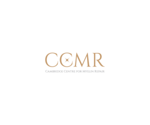 Logo-Design von M.Pirs für dieses Projekt | Design: #26337301