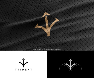 The only text i would want is TRIDENT | Logo Design by Vetroff