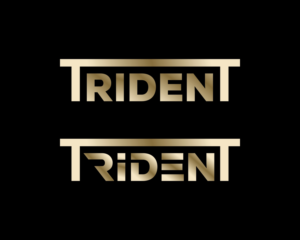 The only text i would want is TRIDENT | Logo Design by CIG Designer