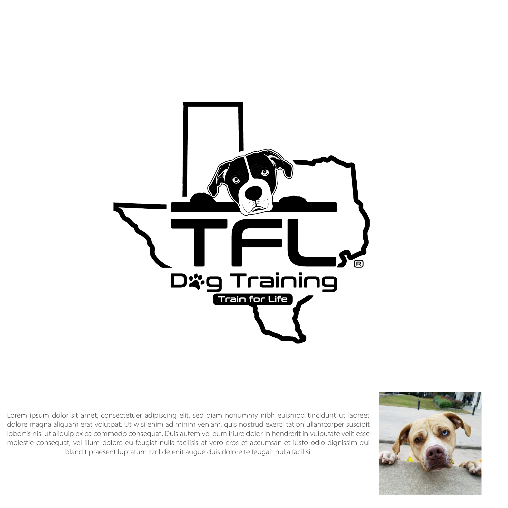 Logo Design by YERR® for this project | Design #26350041
