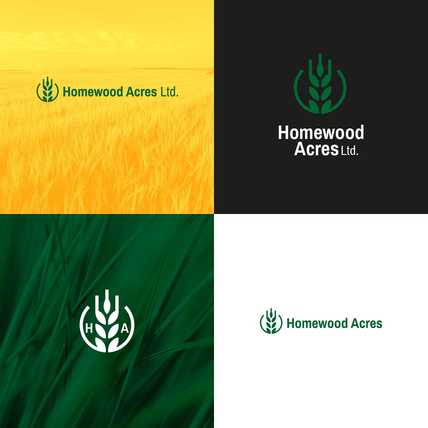 Logo Design by Oleksandr Tovarkov for this project | Design #26346793