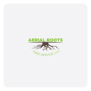 Logo Design by Maxo-Biz for this project | Design: #26347916