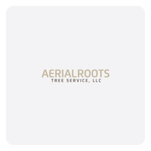 Logo Design by Maxo-Biz for this project | Design: #26353093