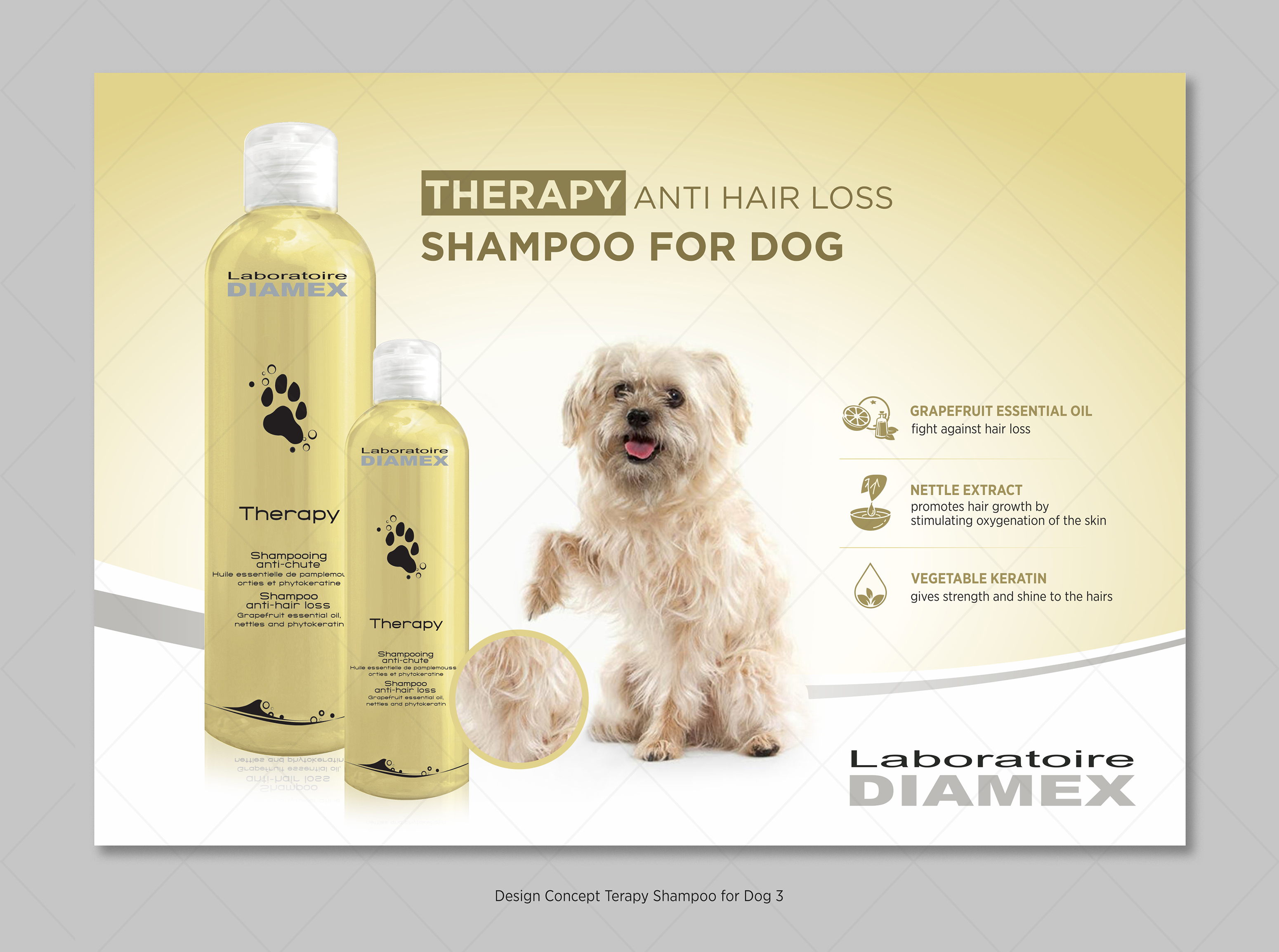 Flyer Design by D Creative for biocare srl | Design #26365987