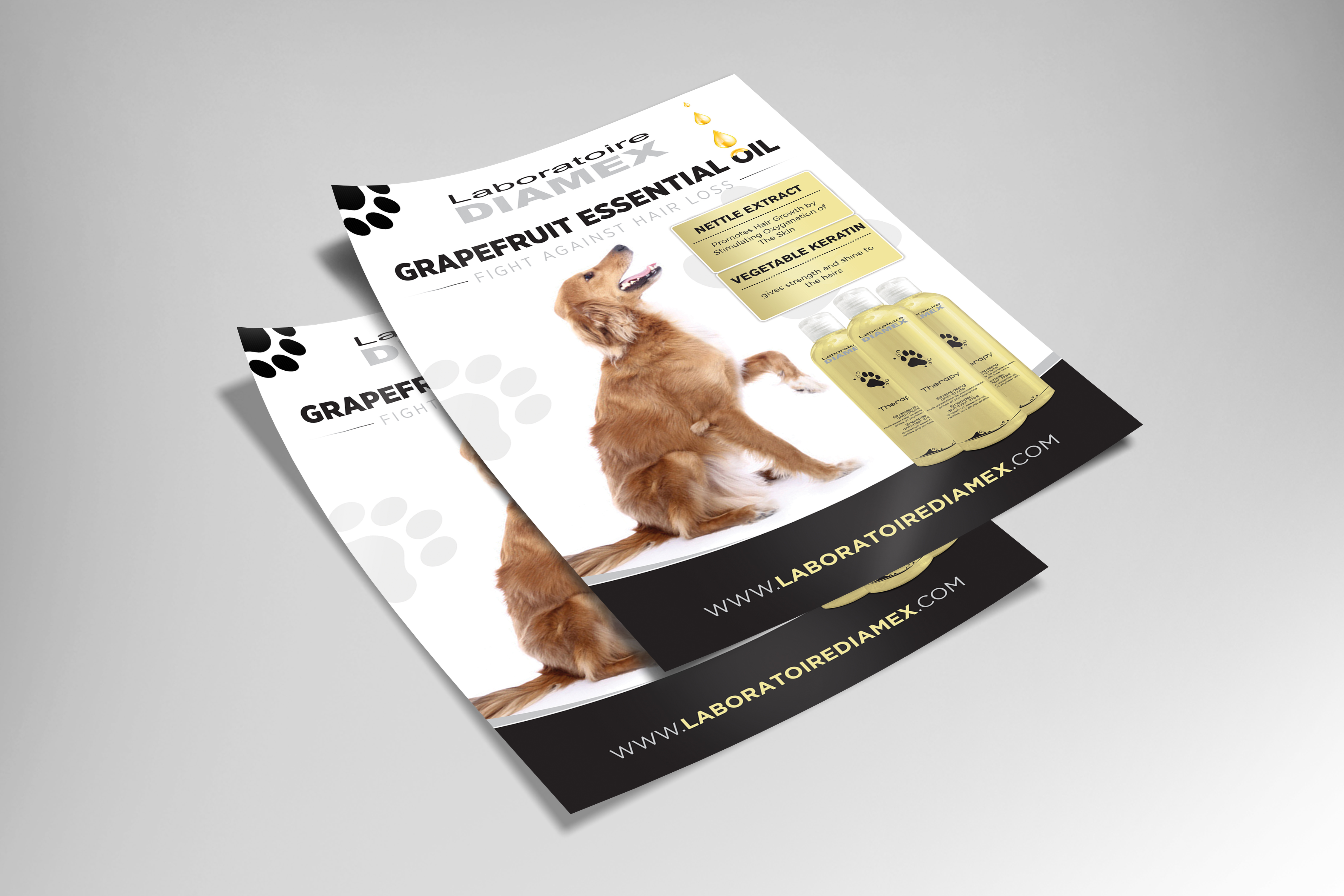 Diseño de Flyer por SWASTIK para biocare srl | Diseño #26358107