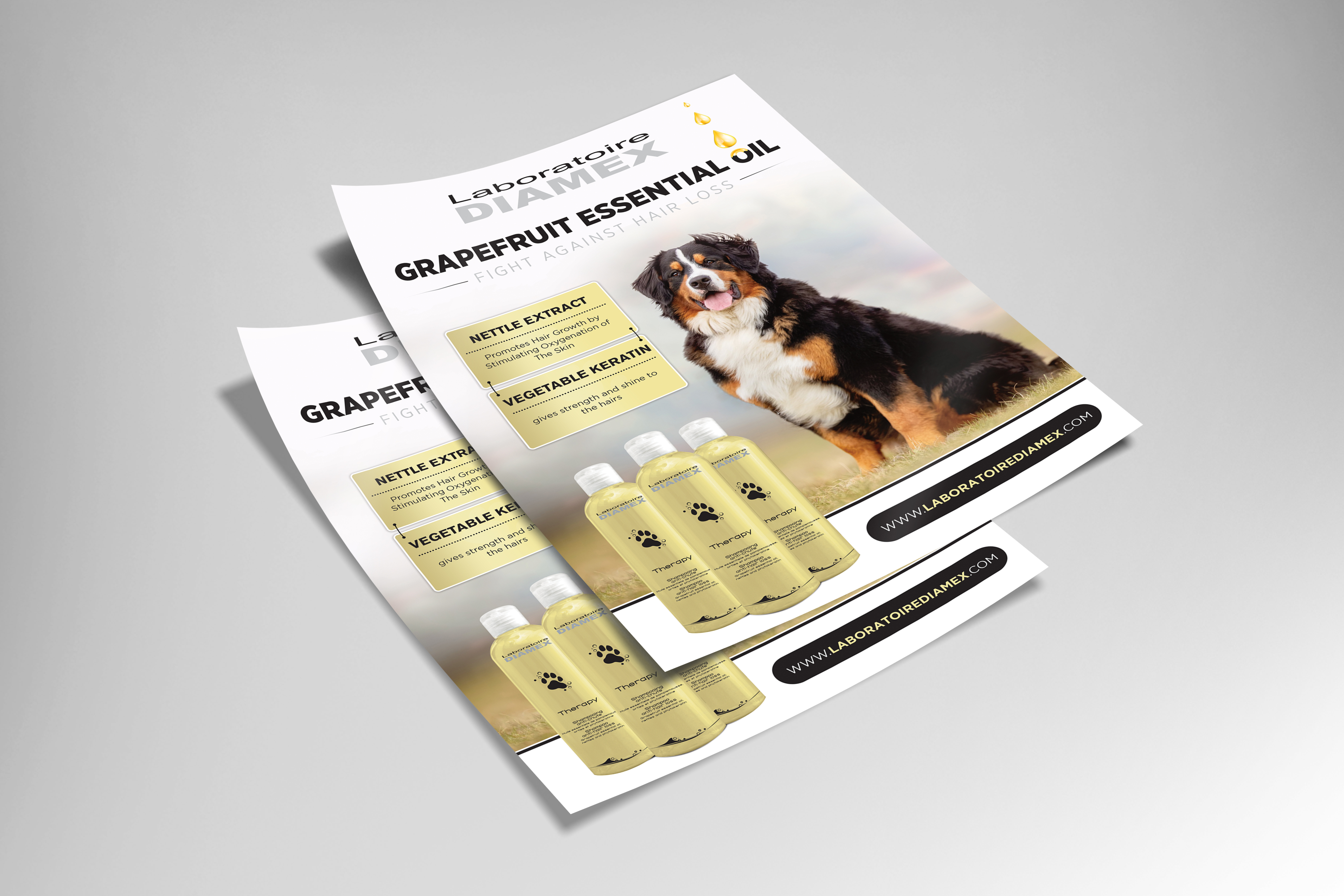 Diseño de Flyer por SWASTIK para biocare srl | Diseño #26358110