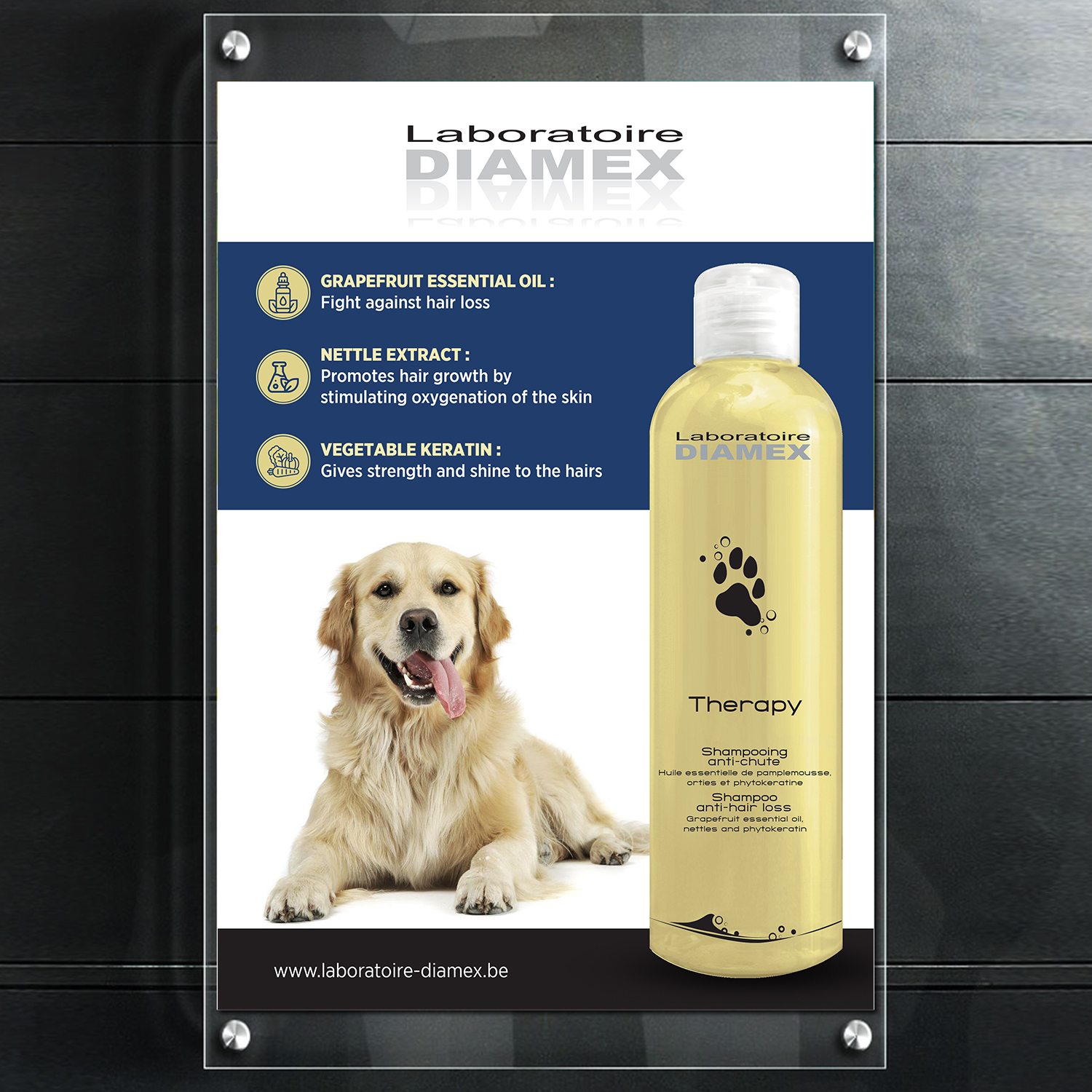 Flyer Design by GraphicsGuru for biocare srl | Design #26383945