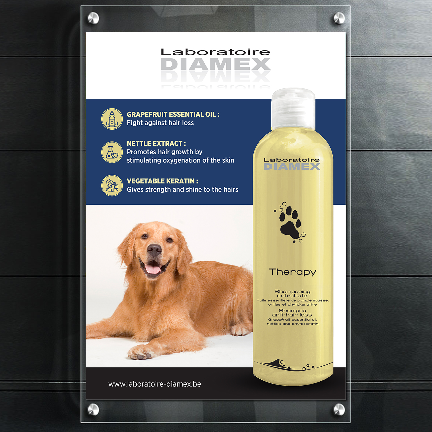 Flyer Design by GraphicsGuru for biocare srl | Design #26383946