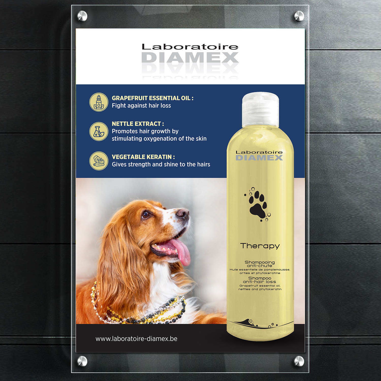 Flyer Design by GraphicsGuru for biocare srl | Design #26383947
