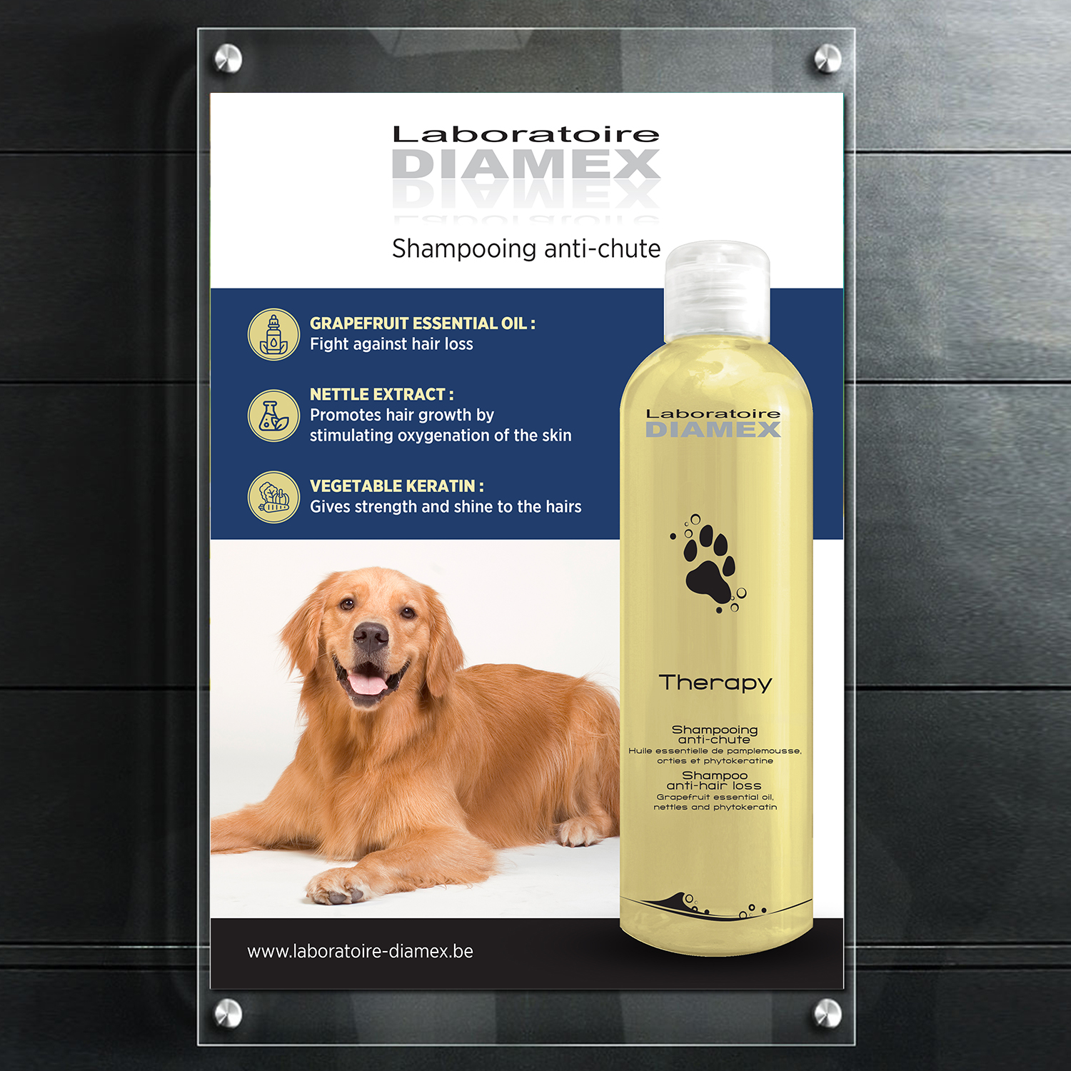 Diseño de Flyer por GraphicsGuru para biocare srl | Diseño #26401584