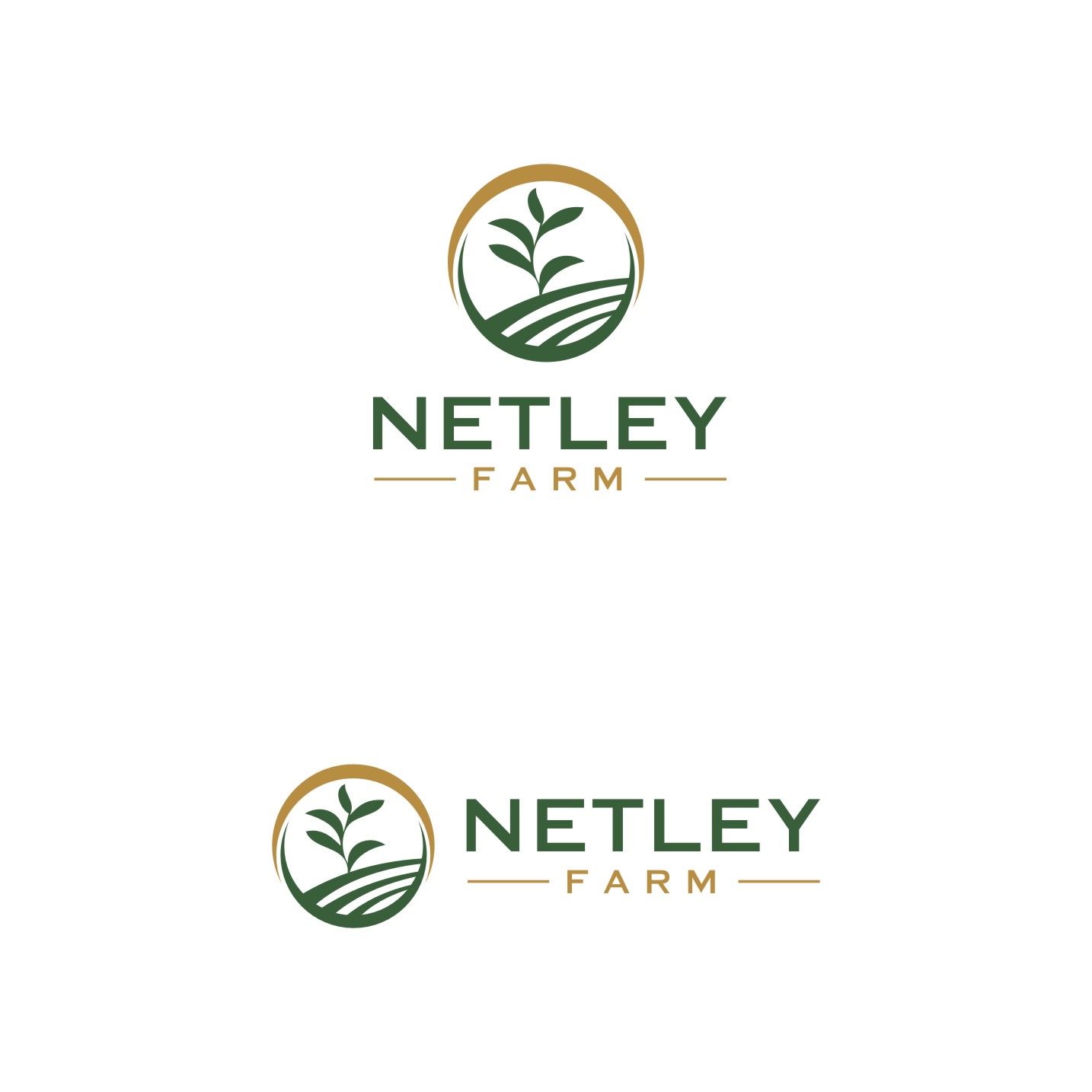 Contest winning design