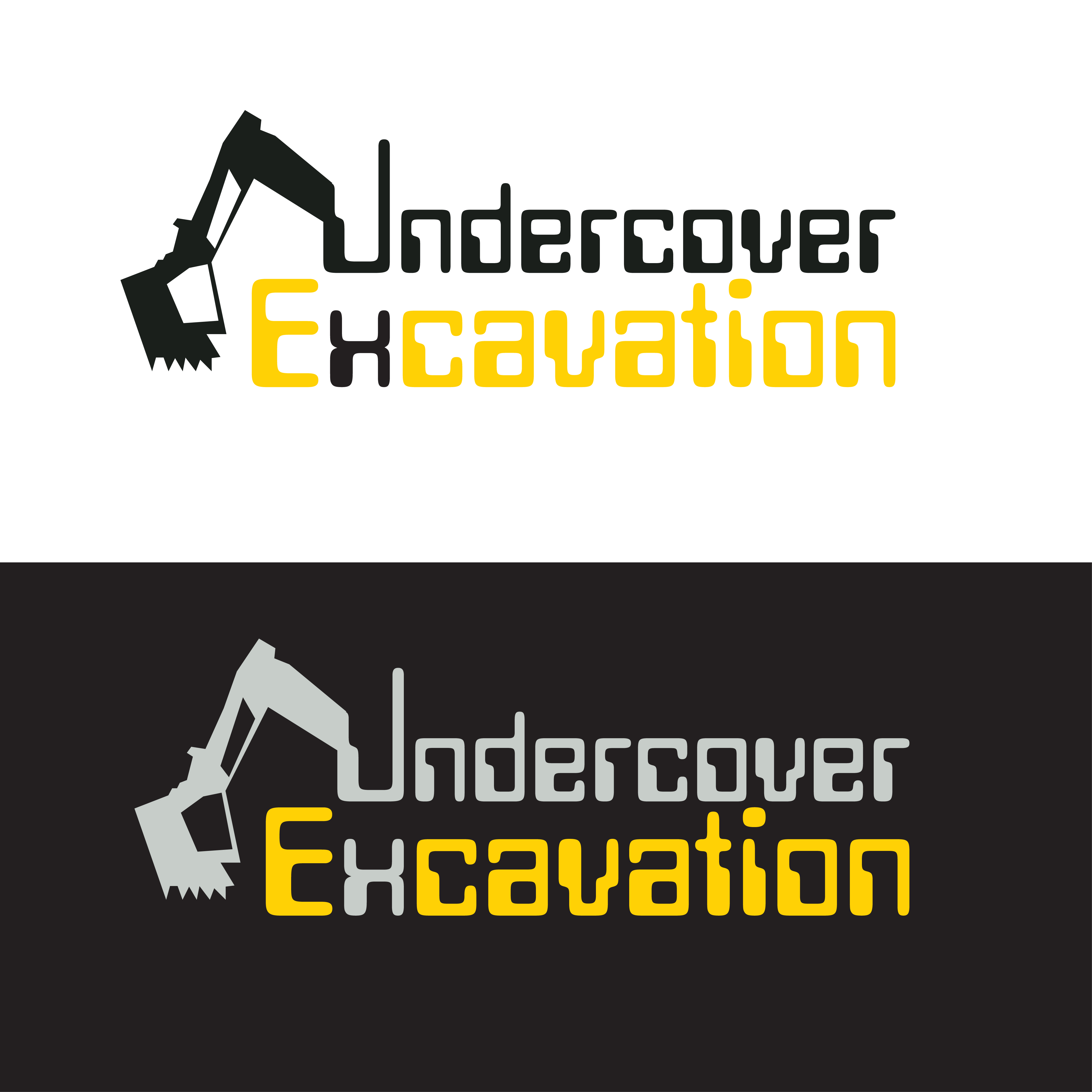 Logo Design by Expert Designer for this project | Design #26385408