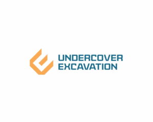 Logo Design by indio