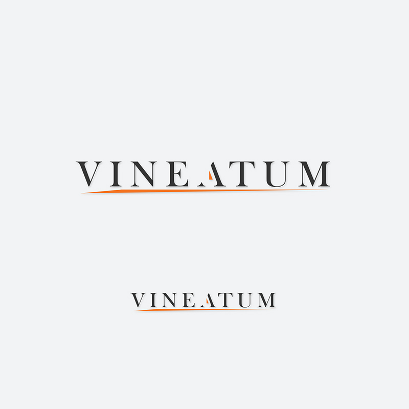 Logo Design by IdentsArt for this project | Design #26362369