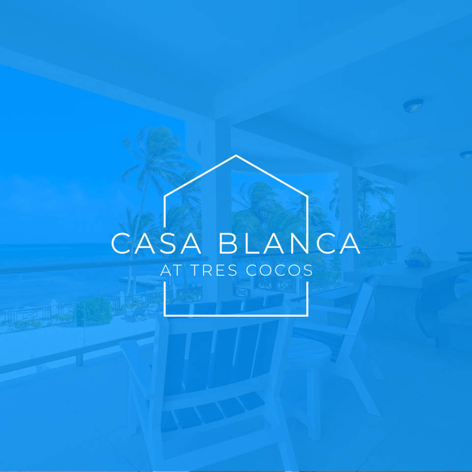 Logo Design by fardush Graphic for this project | Design #26372211