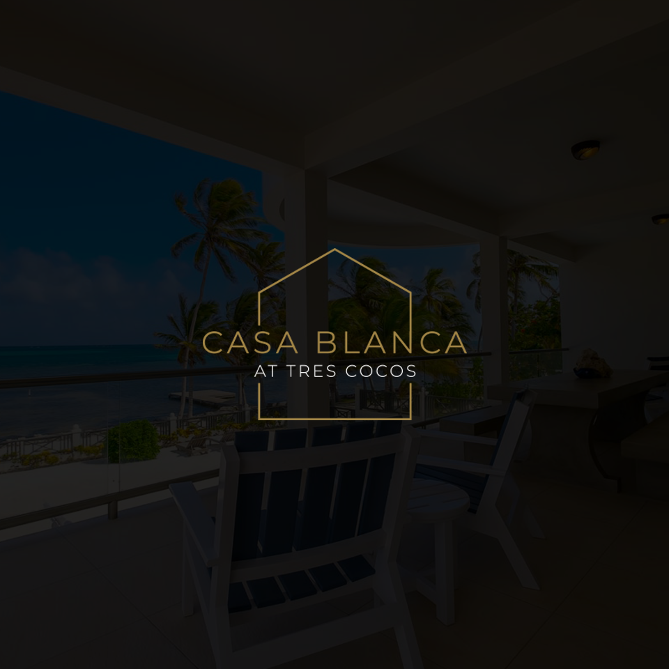 Logo Design by fardush Graphic for this project | Design #26372221